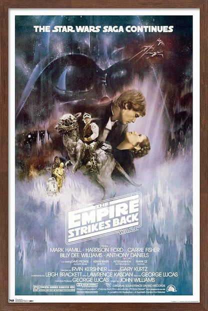 Trends International Star Wars: The Empire Strikes Back - The Saga Continues One Sheet Wall Poster, 22.375" x 34", Mahogany Framed Version