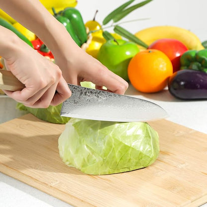 Japanese Chef Knife Damascus ZA18 69 Layer Octagonal Magnolia Wood Handle, Gyuto 9.5-inch (240mm)