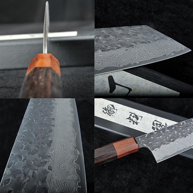 Japanese Chef Knife with VG10 Steel Core, 67-Layer Razor-Sharp Japanese Knife with Ergonomic Rosewood Handle, Professional Black Forged Chef's knives – Gift Grindstone Included