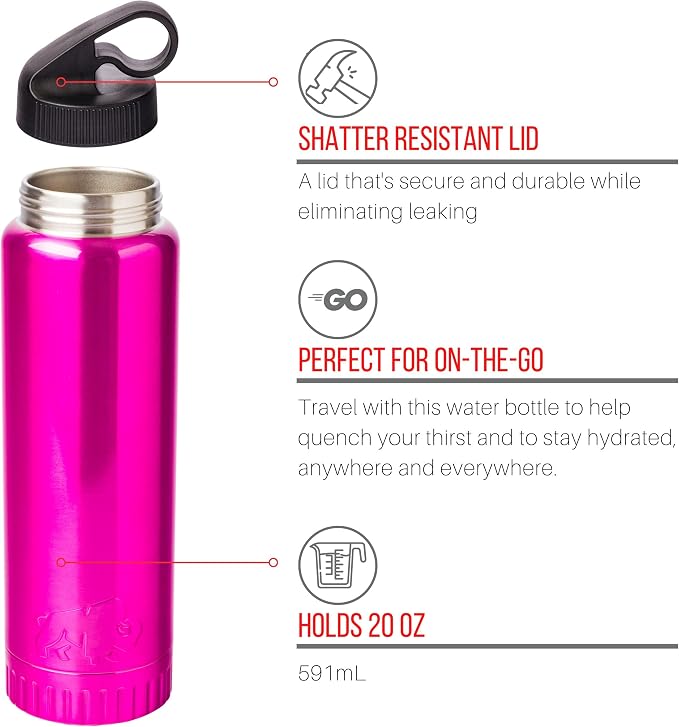 Silver Buffalo Double Walled Vacuum Insulated Stainless Steel Water Bottle, 20 Ounces, Magenta