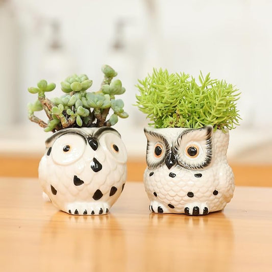 Owl Ceramic Planters Mini Plant Pots 3Inch With Drainage Pen Pencil Holder Cute Decor Flower Planters Gift Packaging Herb Cactus Plant Pots Air Plant Kitchen Window Gardening Starter Set Teacher Gifts