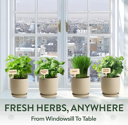HOME GROWN Indoor Organic Herb Garden Kit, Unique Valentines Day Gift for Adults, Men, & Women,Grow 4 Herb Seeds for Kitchen Window Garden,Beginner DIY Hobby Gardening for Plant Lovers, Mom & Dad