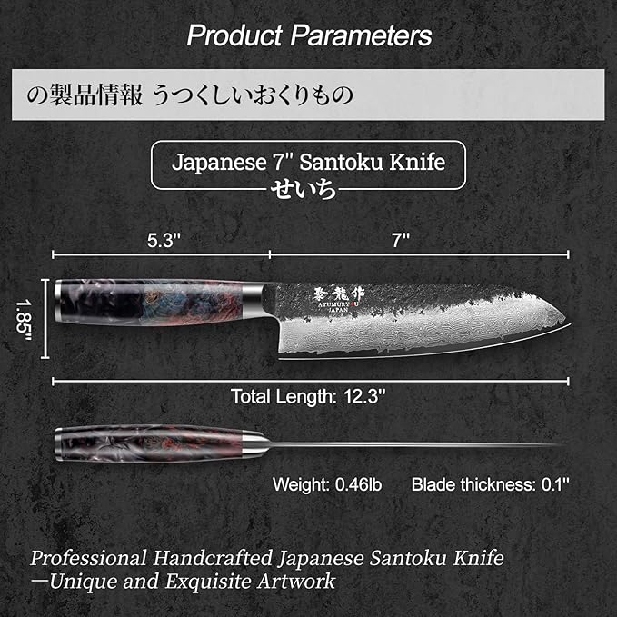 Japanese Chef Knife with VG10 Core, 7'' Razor Sharp Hand Forged Damascus Santoku Knife for Home & Professional Chefs, Kitchen Knives with Leather Sheath & Gift Box, Fathers Day Gift for Dad Husband