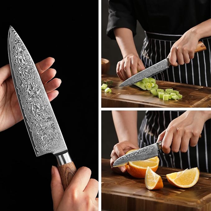 Wakoli EDIB Pro 6-Piece Damascus Knife Set, VG10 Core 67-Layer Damascus Steel Kitchen Knives with Ergonomic Pakkawood Handles, Chef Knife Set in Elegant Gift Box, Hand Wash Only