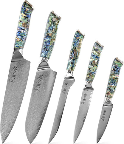 Damascus Kitchen Knife Set | 67-Layer Damascus Steel | Professional Chef Knives Set | Ergonomic Blue Shell Handle | Gift Box Included (Blue-2, 5-Piece Set)