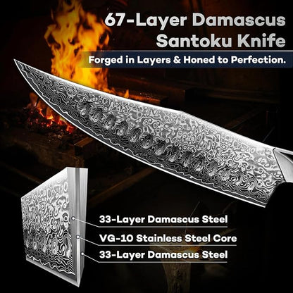 DRAGON RIOT Japanese Chef Knife, Damascus Kitchen Knife with VG10 Steel Core, Ultra Sharp Handmade Cooking Knives with Ergonomic Handle, Premium Gift Box for Mon and Dad
