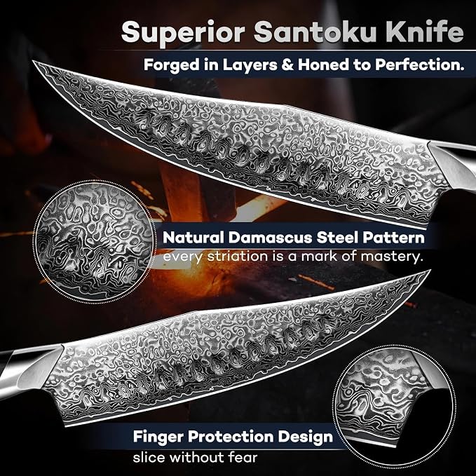 DRAGON RIOT Japanese Chef Knife, Damascus Kitchen Knife with VG10 Steel Core, Ultra Sharp Handmade Cooking Knives with Ergonomic Handle, Premium Gift Box for Mon and Dad