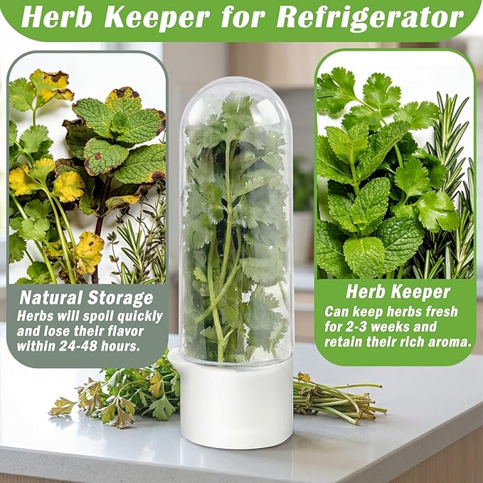 Herb Saver for Refrigerator, 3Pack Herb Keeper & Cilantro Container for Fridge, Fresh Herbs Lettuce Keeper Preservation Storage Container for Cilantro, Parsley, Asparagus, Extends 2-3 Weeks