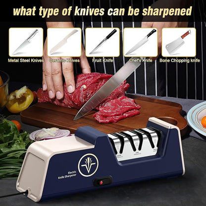 VIDOME Professional Electric Knife Sharpener with 100% Diamond Abrasives and Precision Angle Guides for Kitchen Straight Edge & Ceramic Knife, 3-Stage, Champagne Gold