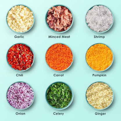 Rechargeable Portable and Cordless Mini Food Processor 300ML with Stainless Steel Blade, Electric Garlic Chopper Vegetable Chopper Blender for Nuts Chili Onion Minced Meat and Spices BPA-Free(Green)