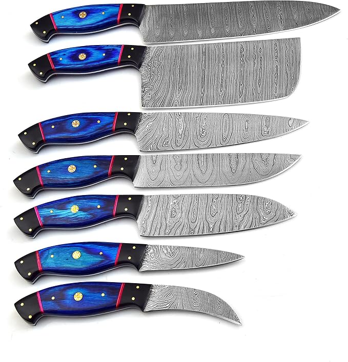 Professional Kitchen Knives Custom Made Damascus Steel 7 pcs of Professional Utility Kitchen Chef’s Knife Set with Pocket Case Chef Knife Set with Roll Bag (1063)