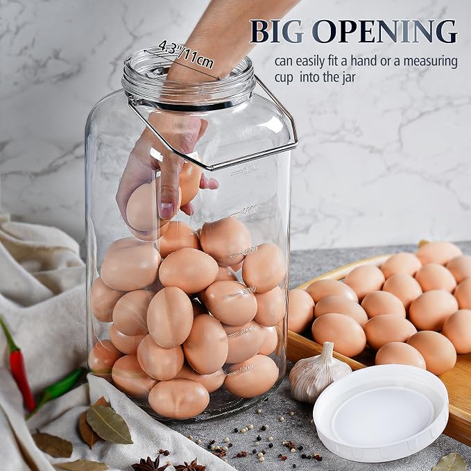 Folinstall 2 Gallon Large Glass Jar with Lid, Wide Mouth Storage Jars with Stainless Handle, Extra Big Glass Container with 2 Scale Mark for Storing Food, Kitchen Organization, 7400 ML/250 OZ