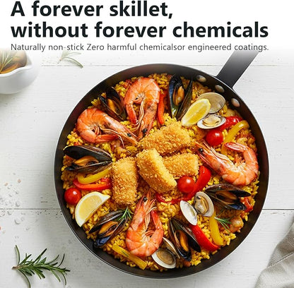 Coating-Free Carbon Steel Pan, Durable 10 Inch nitrided Frying Pan, Oven Broiler Safe 660F and Induction Compatible, PFOA Free