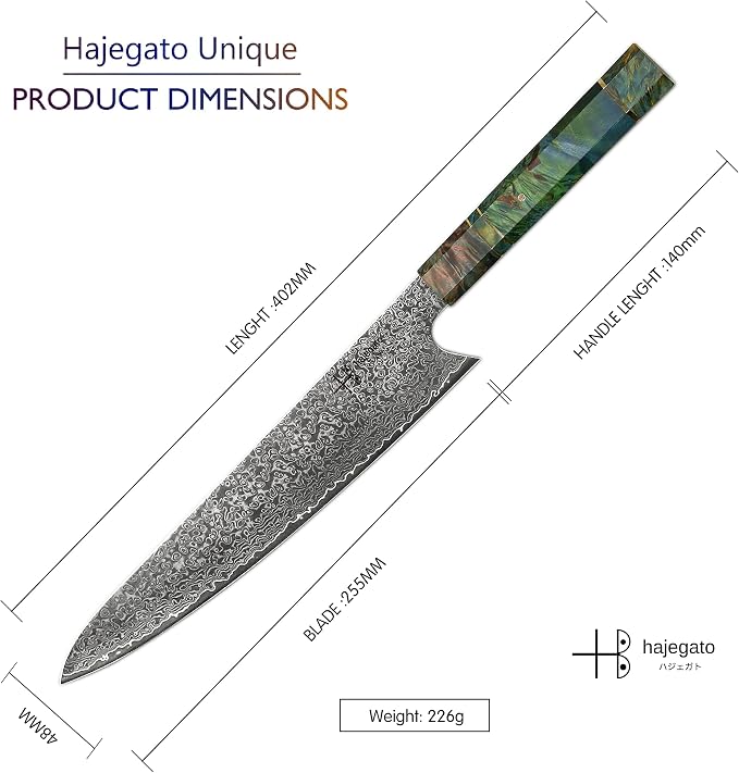 Damascus Chef Knife Unique One of Kind Handle Professional Japanese Chefs Kitchen Knife Vg10 67 Layers Damascus Steel Knive (Gyuto 10")