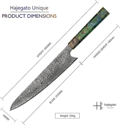 Damascus Chef Knife Unique One of Kind Handle Professional Japanese Chefs Kitchen Knife Vg10 67 Layers Damascus Steel Knive (Gyuto 10")