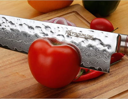 YOUSUNLONG Gyuto 10 inch Pro Chef's Knives Japanese Hammered Damascus Natural Leadwood Handle with Leather Sheath