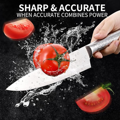 Chef Knife 10 inch Kitchen Knife Damascus Pattern Stainless Steel with Non-slip Hollow Handle
