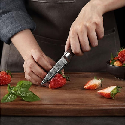 Wakoli EDIB 5-Piece Damascus Knife Set, Professional Kitchen Knives made of 67-Layer Damascus Steel with VG10 Core Blades, Ergonomic Pakkawood Handles, In Wooden Gift Box