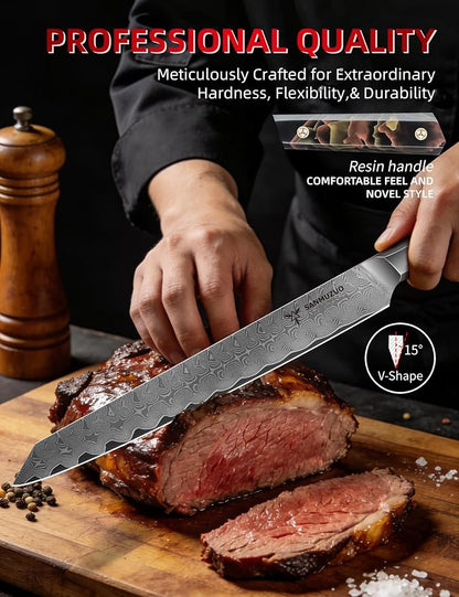 Meat Carving Knife 10 Inch, Professional Kitchen Slicing Knife, Ultra Sharp Damascus Powder Steel with Full-tang Resin Handle, Bi Series