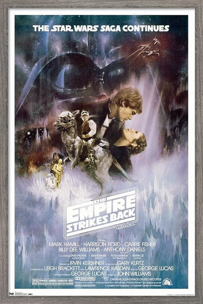Trends International Star Wars: The Empire Strikes Back - The Saga Continues One Sheet Wall Poster, 14.725" x 22.375", Barnwood Framed Version