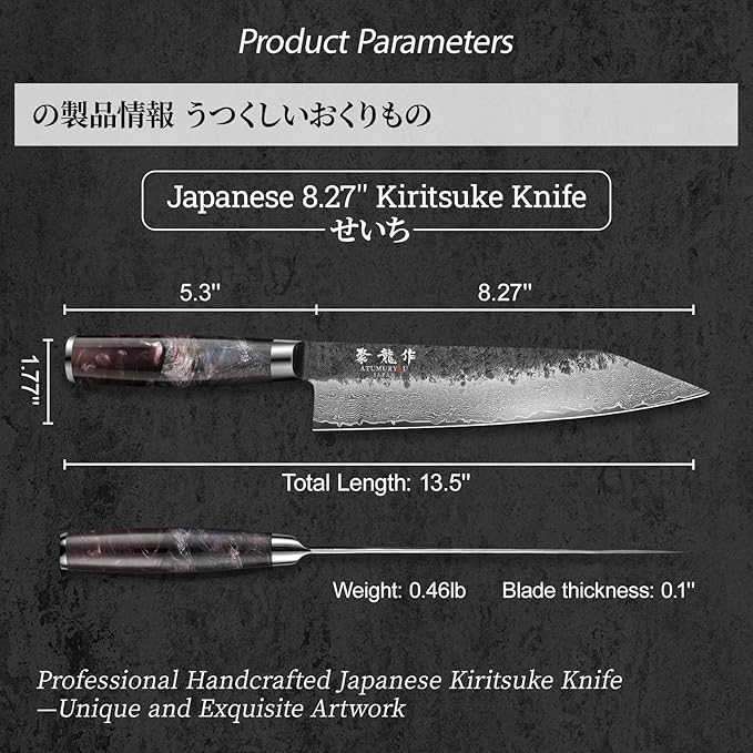 8.27 Inch Japanese Kiritsuke Chef Knife with VG10 Core, Professional 67-Layer Hand-Forged Damascus Knife with Ergonomic Handle, Leather Sheath and Elegant Gift Box – Perfect Gifts for Women Men