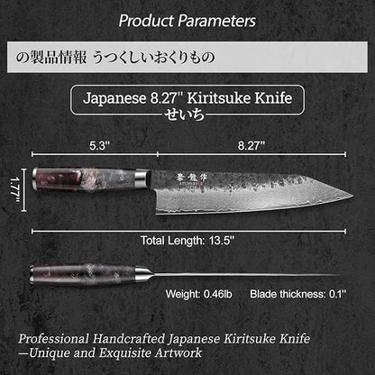 8.27 Inch Japanese Kiritsuke Chef Knife with VG10 Core, Professional 67-Layer Hand-Forged Damascus Knife with Ergonomic Handle, Leather Sheath and Elegant Gift Box – Perfect Gifts for Women Men