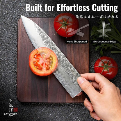 Japanese Chef Knife, Professional Kitchen Knives with VG10 Steel Core, 8.27 Inch Handcrafted Gyuto Knife with Ergonomic Rosewood Handle & Wooden Gift Box, Ultra Sharp Cooking Gifts for Chefs Men Women
