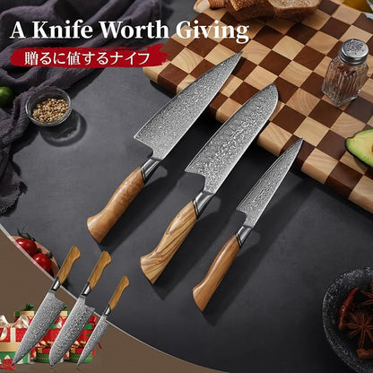 TIVOLI Damascus Kitchen Knife Set,3 PCS Japanese Chef Knife Set,VG-10 Damascus Santoku Paring Knife with Olive Wood Handle,Ideal Gift