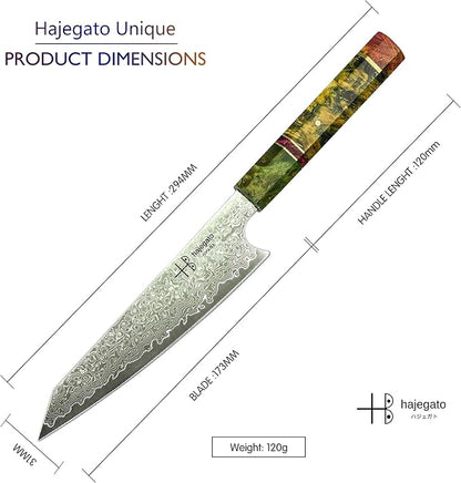 Damascus Chef Knife Petty Unique One Of Kind Handle Professional 6 Inch Japanese Chefs Kitchen Knife Vg10 67 Layers Damascus Steel Knive with Sheath