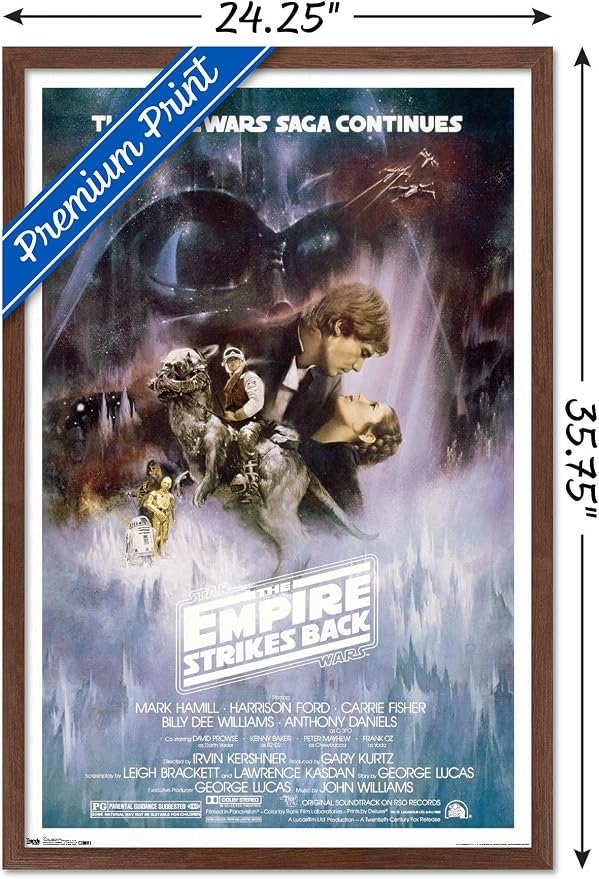 Trends International Star Wars: The Empire Strikes Back - The Saga Continues One Sheet Wall Poster, 22.375" x 34", Mahogany Framed Version