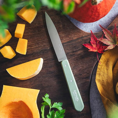 OPINEL No. 112 Paring Knives 2 Piece Set, Sandvik Steel Everyday Paring Knife, Wood Handles, Made in France (Sage Green)