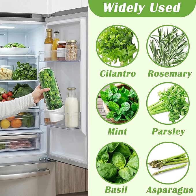 Herb Saver for Refrigerator, 3Pack Herb Keeper & Cilantro Container for Fridge, Fresh Herbs Lettuce Keeper Preservation Storage Container for Cilantro, Parsley, Asparagus, Extends 2-3 Weeks