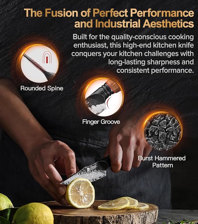 XINZUO Kitchen Paring Knife 4.2 Inch,Razor Sharp Hand Forged Damascus Steel Small Kitchen Knife For Peeling Coring Fruit With Ergonomic Handle