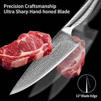 NANFANG BROTHERS® 10 Pieces Damascus Kitchen Knife Set, High Carbon Stainless Steel Damascus Steel Chef Knife Set, Stainless Steel Ergonomic Handle for Chef, with Built-in Sharpening Rod NF