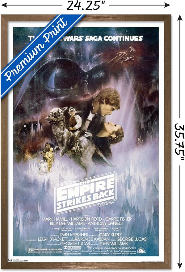 Trends International Star Wars: The Empire Strikes Back - The Saga Continues One Sheet Wall Poster, 22.375" x 34", Bronze Framed Version