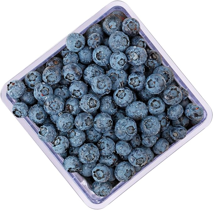 HIC Kitchen BerryFresh Half Pint Produce Box, Blue