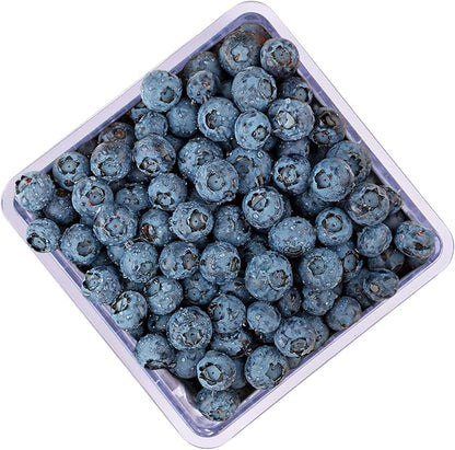 HIC Kitchen BerryFresh Half Pint Produce Box, Blue