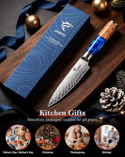 Kitchen Utility Knife 5 Inch, Japanese VG10 Steel Damascus Paring knife, Small Kitchen Chef Knife with Gift Box and Resin Wood Handle, Ideal Gift for Your Beloved Men or Women