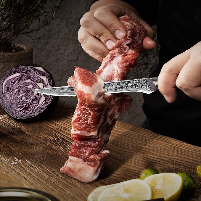 FANTECK 6 Inch Boning Fillet Knife,Damascus Japanese 67 Layer Professional Sharp Curved Flexible Blade Kitchen Chef Knives with Sheath for Fish Poultry Chicken Meat Cutting,G10 Handle