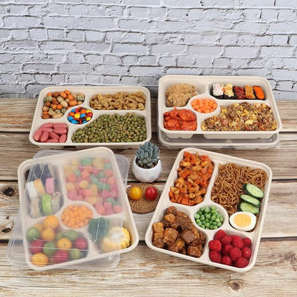 40 oz 5 Compartments disposable Sugarcane Fiber plates with Lids Bagasse Plant Fibers Freezer Safe 25 Pack