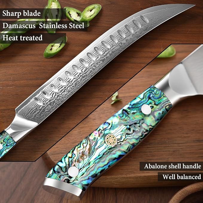 XITUO 10" Cimitar Breaking Butcher Knife, Japanese VG10 Damascus Steel Meat Processing Knife, Full Tang Razor Sharp Blade, Ergonomic Abalone Shell Handle Dazzling Series (10 inch Cimitar Ham knife)