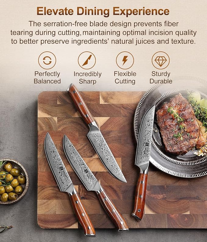 XINZUO 5Pcs Steak Knives Set, Non Serrated Dinner Knives with Drawer Knife Holder,67-layer Damascus Steel Kitchen Knife with Rose Wood Handle, Acacia Wood Knife Block