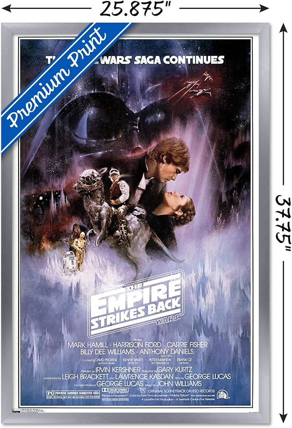 24X36 Star Wars: Saga - The Saga Continues Wall Poster, 36L" x 24W", Silver Framed Version