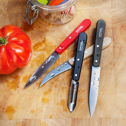 OPINEL Les Essentials - Small Kitchen 4 Piece Knife Set - Paring, Serrated, Peeler, Vegetable Knife, Corrosion Resistant High Carbon Steel, Made in France (Loft)