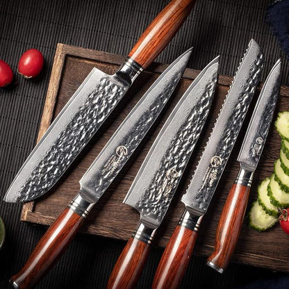 YARENH Chef Knife Set without Block, 5 Piece Professional Sharp Kitchen Knives,Damascus Stainless Steel, 73 Layers, Full Tang, Dalbergia Wood Handle, HTT Series