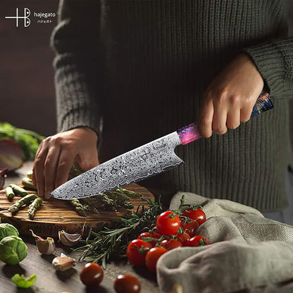 Damascus Chef Knife Gyuto Unique One Of Kind Handle Professional 8 Inch Japanese Chefs Kitchen Knife Vg10 67 Layers Damascus Steel Knive with Sheath