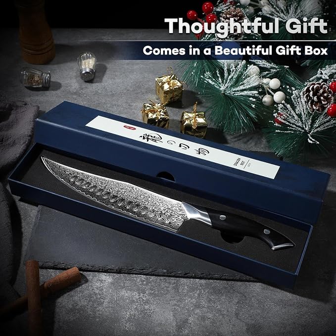 DRAGON RIOT Japanese Chef Knife, Damascus Kitchen Knife with VG10 Steel Core, Ultra Sharp Handmade Cooking Knives with Ergonomic Handle, Premium Gift Box for Mon and Dad