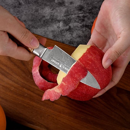Damascus Paring Knife 3.5”, Peeler for Fruit, 73 Layers Damascus Steel Small fruit Knife with 10Cr15CoMoV Cutting Core, White Shadow Wood Handle, for Home & Restaurant, 2026 Gift