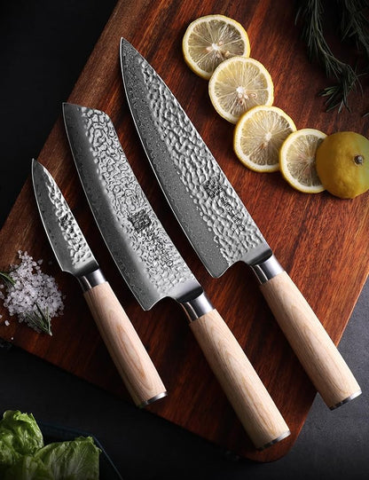 Professional Knife Set - VG-10 67-Layer Damascus Forged Steel, Razor-Sharp Edge Chef Santoku Paring Knifes, Durable Kitchen Cutlery for Home Cooks