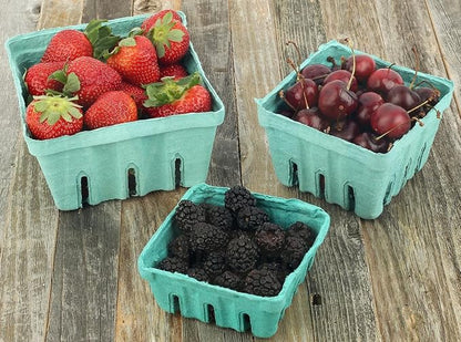 MT Products Green Berry Basket 1 Pint - Molded Pulp Fiber Vented Produce Basket (Pack of 420) - Made in the USA